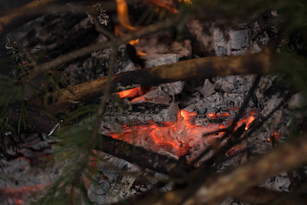 winter bonfire burns bright orange - Fotografie, Obrázek