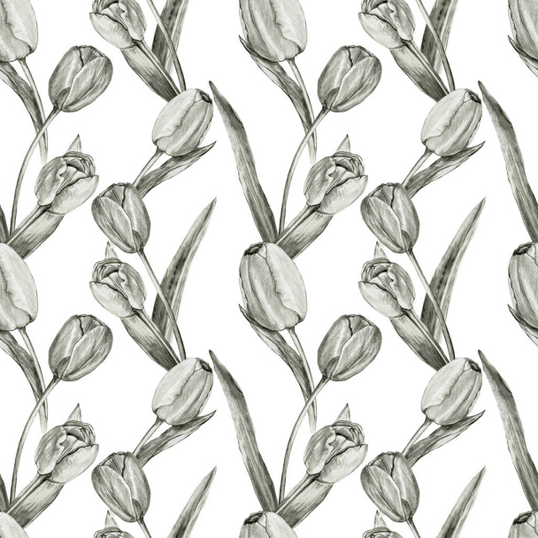 Patrón sin costura lápiz tulipanes dibujados
 - Foto, Imagen