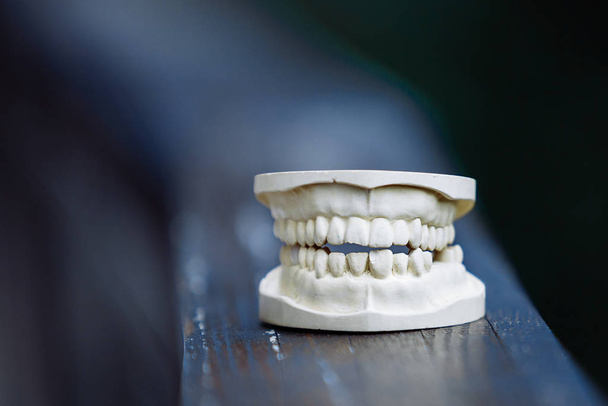 Modelo de mandíbula plástica para estomatologia e cirurgia maxilofacial. - Foto, Imagem