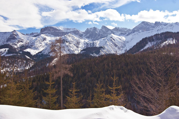 View on beautiful Alps mountains - Fotoğraf, Görsel