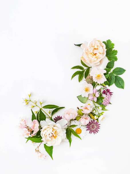 flores de verão no fundo branco - Foto, Imagem