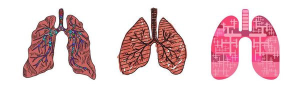 drawing of a human lung doodle sketch flat style - Photo, Image