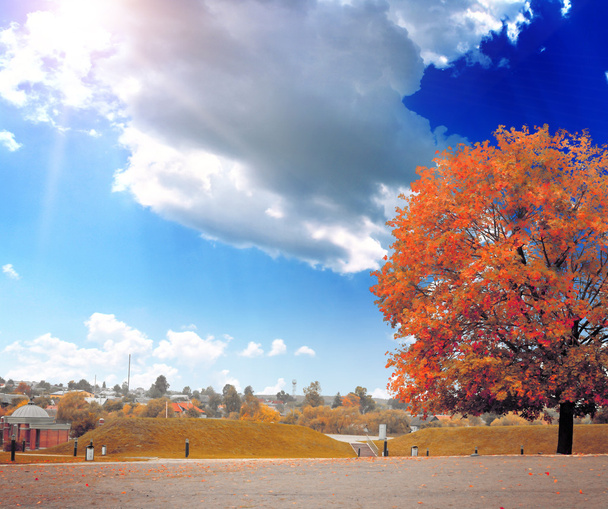 The colored autumn tree on the landscape - Fotó, kép