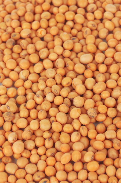 Soy beans close-up - Foto, Imagen