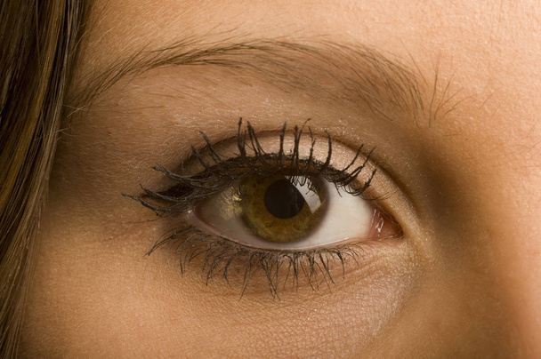 close-up of a female eye with a black background - Zdjęcie, obraz
