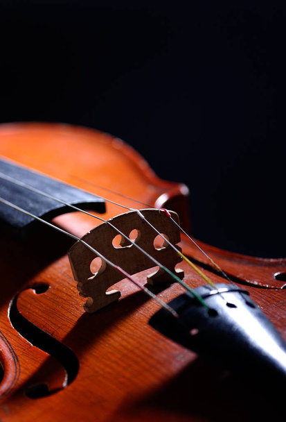 Violin, musical instrument, close up - Photo, image