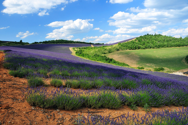 Lavanderias em Provence, Francia - Foto, Imagem