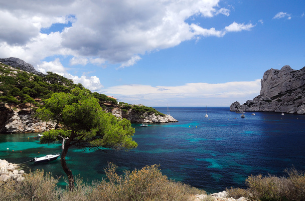 Calanques of Port Pin in Cassis in France - Photo, Image