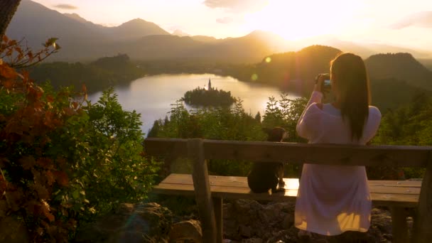 Bezárás: nő fényképez Lake Bled, ahogy ül a padon a kutya. - Felvétel, videó