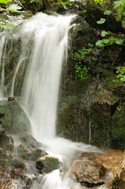 beautiful waterfall on nature background - Foto, imagen