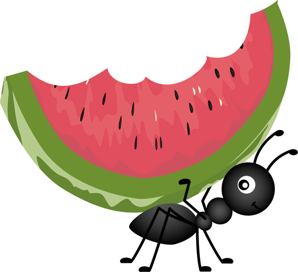 Ant Carrying Watermelon - Vector, Image