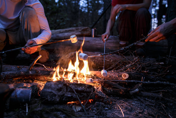 Vrienden bakken zoete marshmallows boven een kampvuur, op een zomeravond, in het bos. - Foto, afbeelding