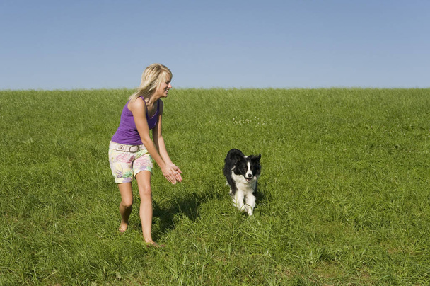 young woman with dog in field - Фото, изображение