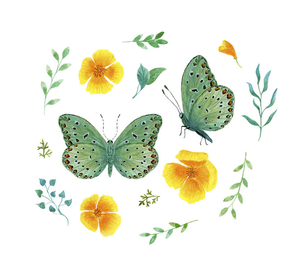 set green tropical butterfly with red spots watercolor - Photo, Image