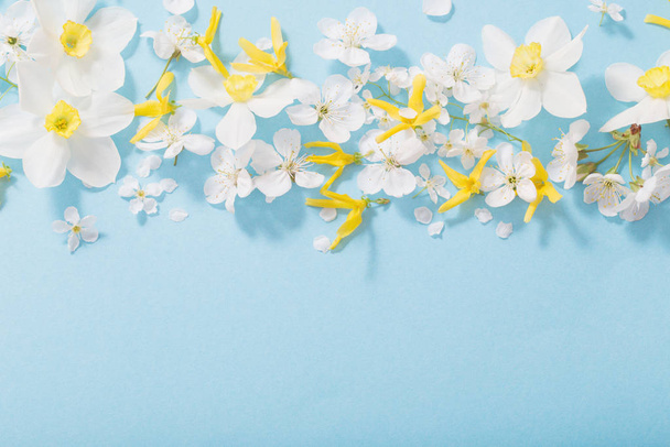 daffodils and cherry flowers on blue background background - Fotó, kép