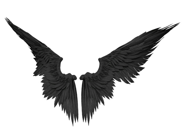 3d Rendered Fantasy Angel Wings op witte achtergrond - 3d Illustratie - Foto, afbeelding