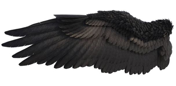 3d επεξεργασμένα φτερά αγγέλου φαντασίας σε λευκό φόντο - 3d εικονογράφηση - Φωτογραφία, εικόνα