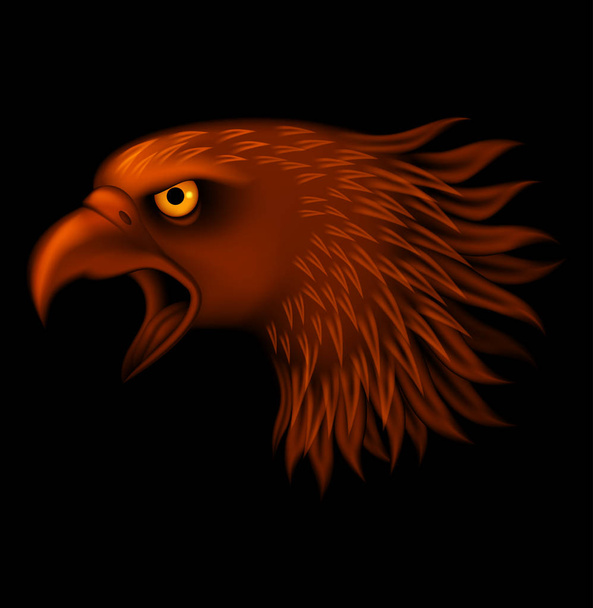 Fire eagle head isolated on black background - Vector, Image