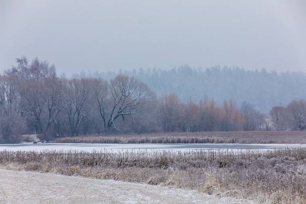 Paesaggio invernale coperto di neve
 - Foto, immagini
