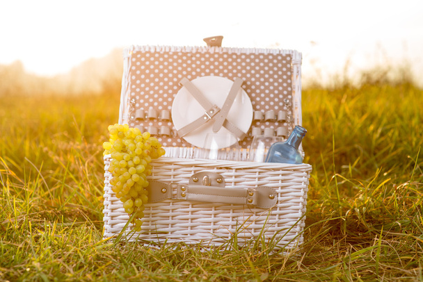 busket picnic blanco
 - Foto, Imagen