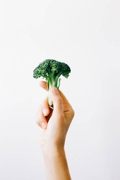 green inflorescence of fresh broccoli in hand on a white background. vegan food - Foto, Imagem