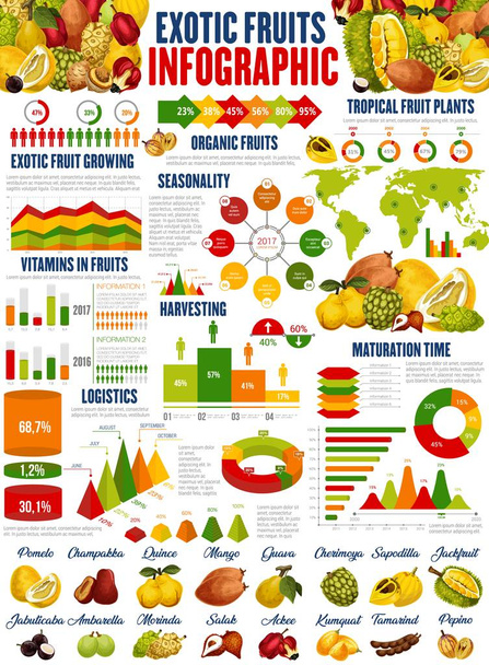 Exotic fruits growing, harvest infographics - Vector, Image