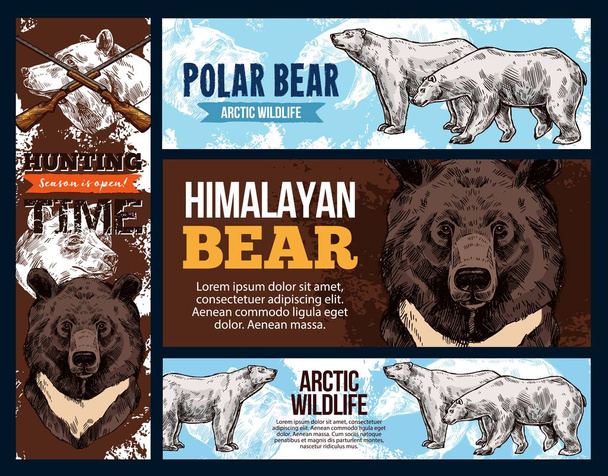 Himalayan and polar arctic bears, hunting - Vector, Image