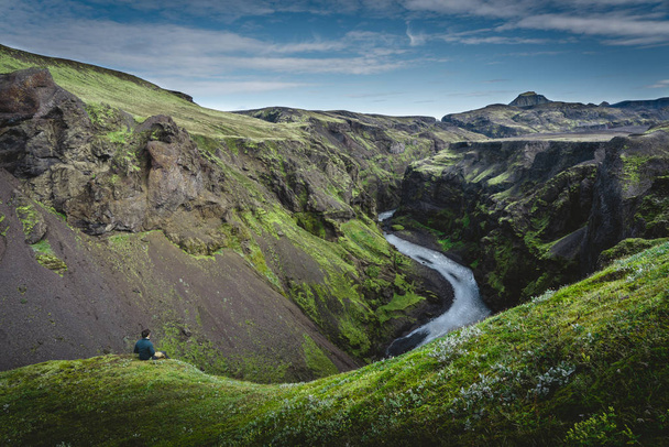 Блаженний зелений каньйон, захований в ісландській пустелі. - Фото, зображення