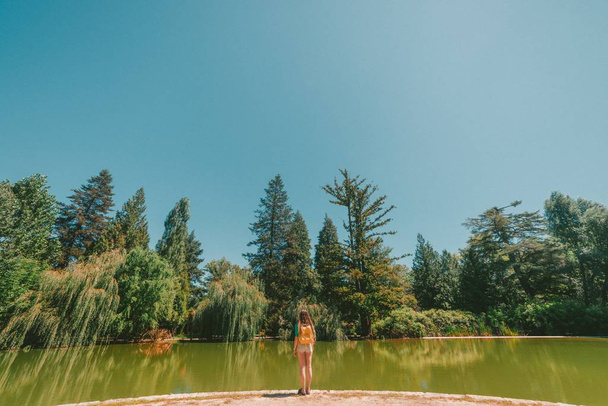 Stunning shot of a woman standing in front of a river in the middle of a forest on a hot day - 写真・画像