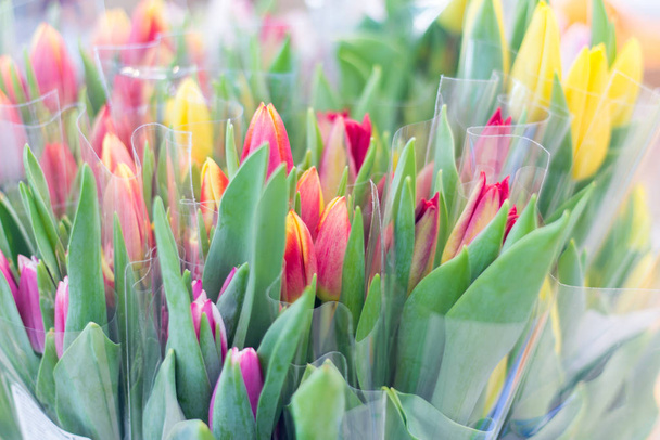 Wiele bukietów wielobarwnych tulipanów na rynku, selektywne skupienie - Zdjęcie, obraz