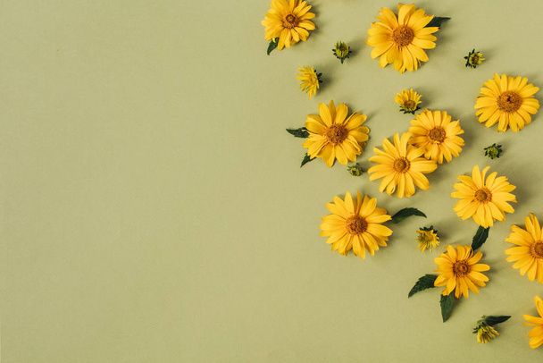 Flat lay yellow daisy flower buds. Top view. - 写真・画像