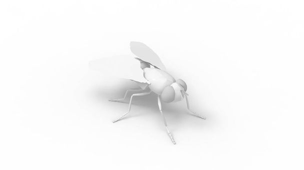 3d rendering of a fly isolated on a white empty space background - Foto, Imagen