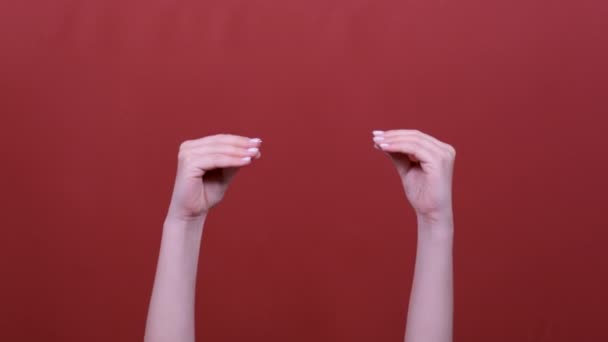 Woman showing talking to each other hands isolated over pastel red background in studio. - Πλάνα, βίντεο