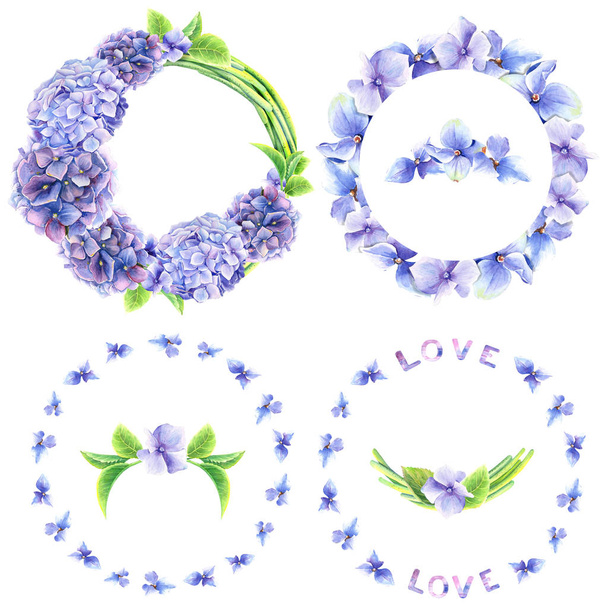 Hortensia frames en blauwe hortensia bloem. Geïsoleerde elementen met de hand geschilderd in aquarel. - Foto, afbeelding