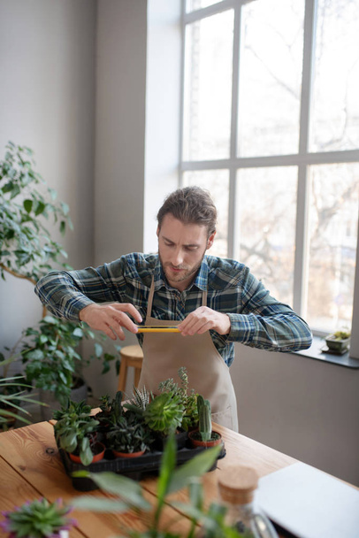 Man taking pictures of plants on his smartphone - Φωτογραφία, εικόνα