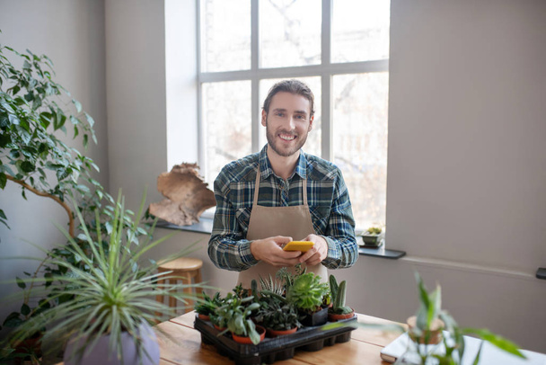 Smiling man planting succulents for online store - Фото, зображення