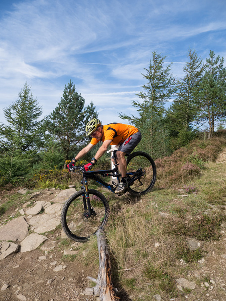 Mountain biker riding trails in Wales - Photo, Image