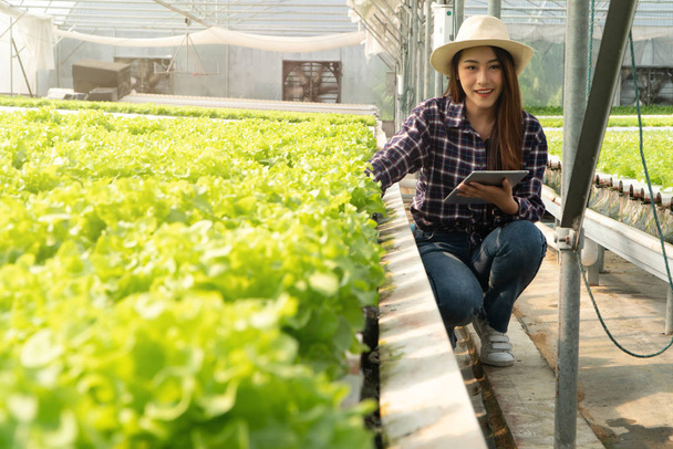 Aasialainen nainen viljelijä tarkistaa salaatti vihannesten kasvua ja käyttää tabletti valvonta vesi, valo, lämpötila vesiviljelykasvien järjestelmä maatilalla kasvihuoneessa. Maatalouden digitaaliteknologian käsite
 - Valokuva, kuva