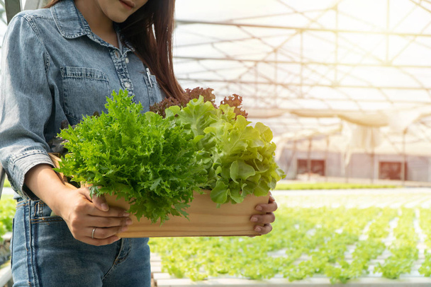 Aasialainen maanviljelijä nainen tilalla puinen laatikko täynnä salaattia vihanneksia hydroponic maatilan järjestelmä kasvihuoneessa. Luonnonmukaisten elintarvikkeiden käsite, joka ohjaa ympäristöä, valaistusta, lämpötilaa, vettä - Valokuva, kuva