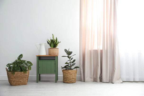 Different tropical plants in wicker pots near white wall at home - Foto, Imagem