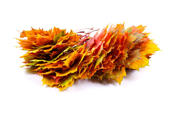 Bunch of fall leaves - Foto, Imagen