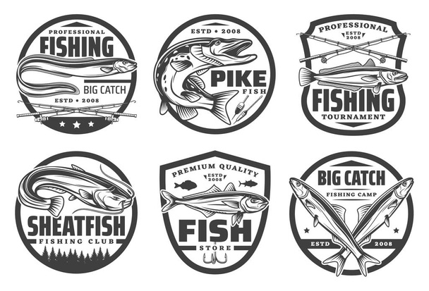Fisherman hobby sport, fishery tackles and fish - Vector, Image