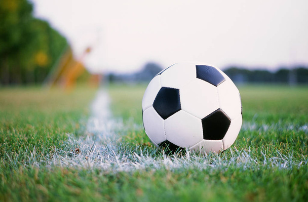 Soccer ball on the field - Foto, afbeelding