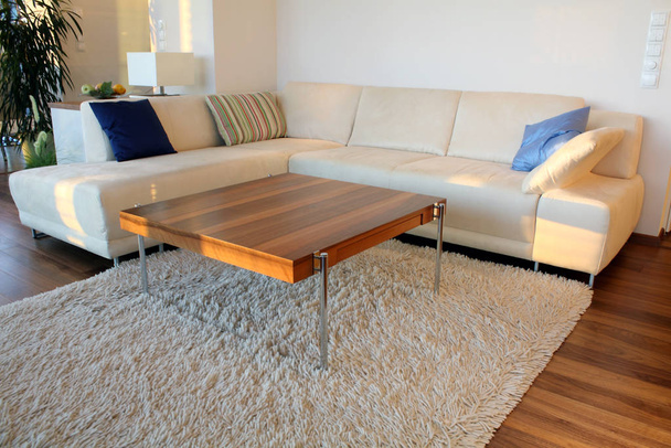 living room with modern furniture - Foto, Imagem