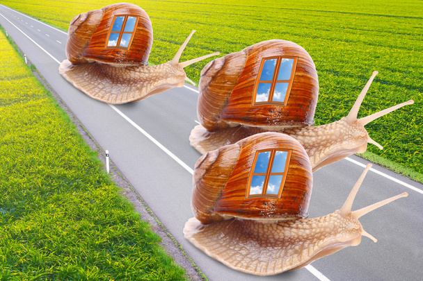 Divertente immagine di una lumaca con casa mobile sulla strada. Metafora di viaggio facile
. - Foto, immagini