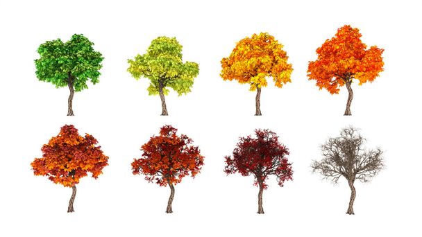 Autumn comes, the tree, the foliage falls. 3d illustration, 3d rendering. - Φωτογραφία, εικόνα