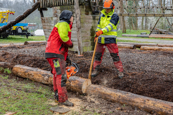 Los madereros cortan tronco de árbol con sierras de cadena en días lluviosos
. - Foto, Imagen