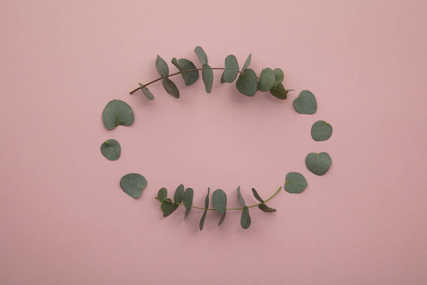 Border of eucalyptus leaves on a pastel pink background. Lay flat - Foto, Imagen