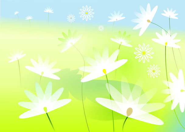 summer field flowers, flora - Zdjęcie, obraz