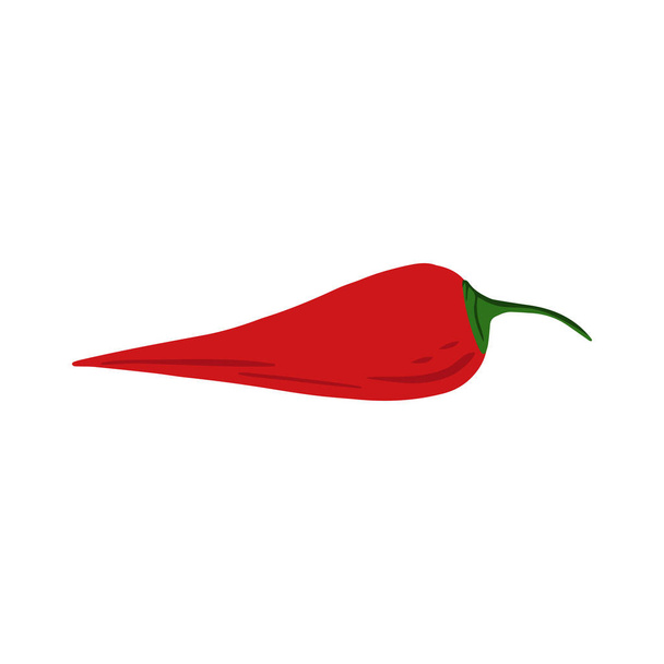 Red chilliin hand drawn style isolated on white background. Doodle cayenne pepper vegetable. - Vector, Image
